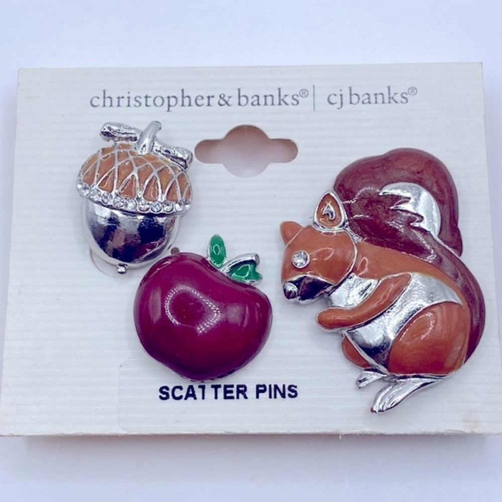 Christopher & Banks Fall Themed Scatter Pins NWT